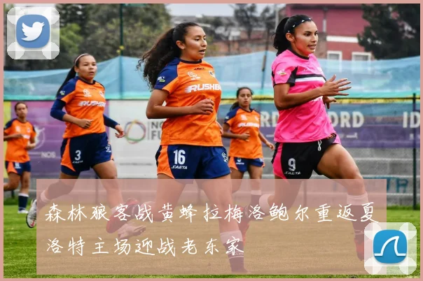 森林狼客战黄蜂拉梅洛鲍尔重返夏洛特主场迎战老东家